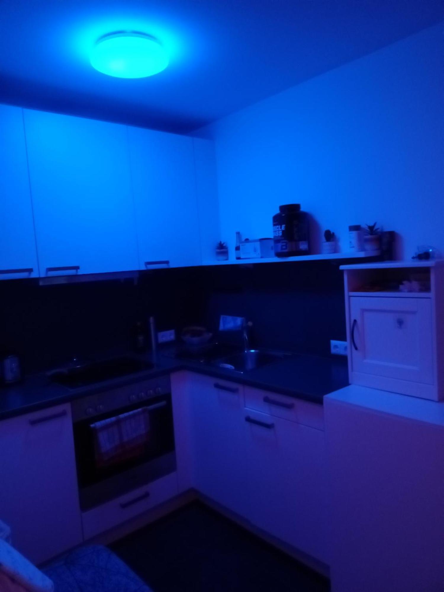 Apartment Antonigasse 7